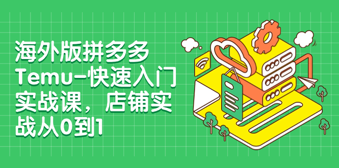 海外版拼多多Temu-快速入门实战课，店铺实战从0到1（12节课）-飞享资源网