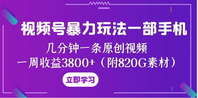 视频号暴力玩法一部手机 几分钟一条原创视频 一周收益3800+（附820G素材）-飞享资源网