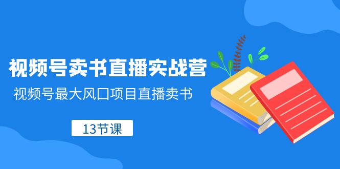 视频号-卖书直播实战营，视频号最大风囗项目直播卖书（13节课）-飞享资源网