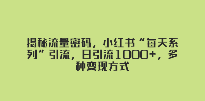 揭秘流量密码，小红书“每天系列”引流，日引流1000+，多种变现方式-飞享资源网