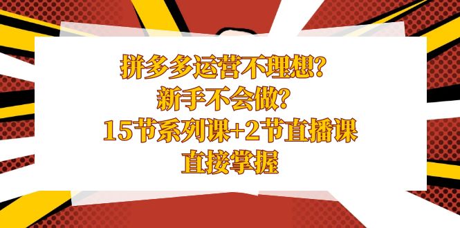 拼多多运营不理想？新手不会做？15节系列课+2节直播课，直接掌握-飞享资源网