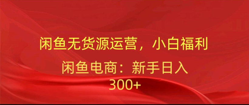 闲鱼无货源运营，小白福利，日入300加-飞享资源网