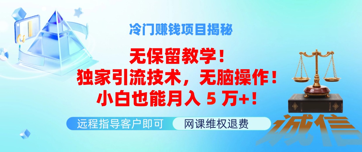 冷门赚钱项目无保留教学！独家引流技术，无脑操作！小白也能月入5万+！-飞享资源网