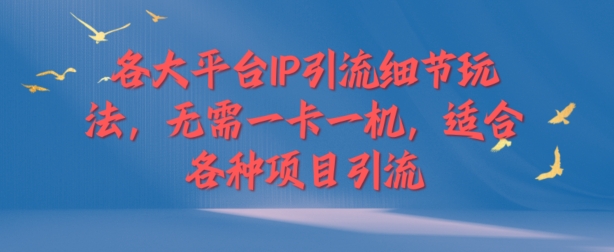 各大平台IP引流细节玩法，无需一卡一机，适合各种项目引流-飞享资源网