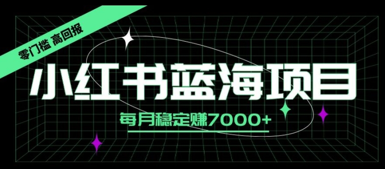 小红书蓝海项目，零门槛、高回报，每月稳定赚7000+-飞享资源网