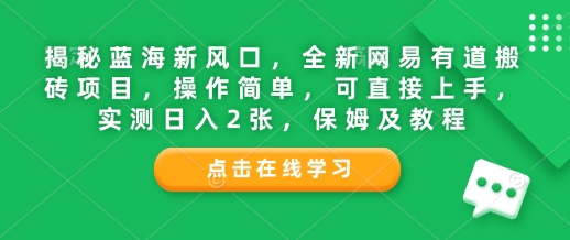 揭秘蓝海新风口，全新网易有道搬砖项目，操作简单，可直接上手，实测日入2张，保姆及教程-资源妙妙屋