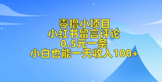 零撸小项目，小红书留言评论，0.5元一条，小白也能一天收入100+-烟花资源网