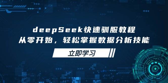 deepSeek快速驯服教程，从零开始，轻松掌握数据分析技能-烟花资源网